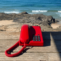 red Phone Lola at the beach